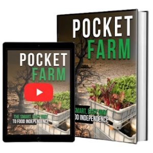 Read more about the article Unlock the Secrets of Self-Sufficient Aquaponics with Pocket Farm