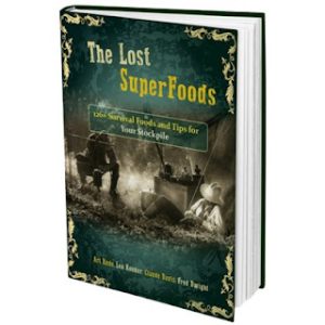 Read more about the article Unlock the Secrets of Lost Superfoods for a Thriving Stockpile